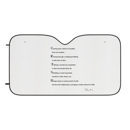 Car Sun Shades