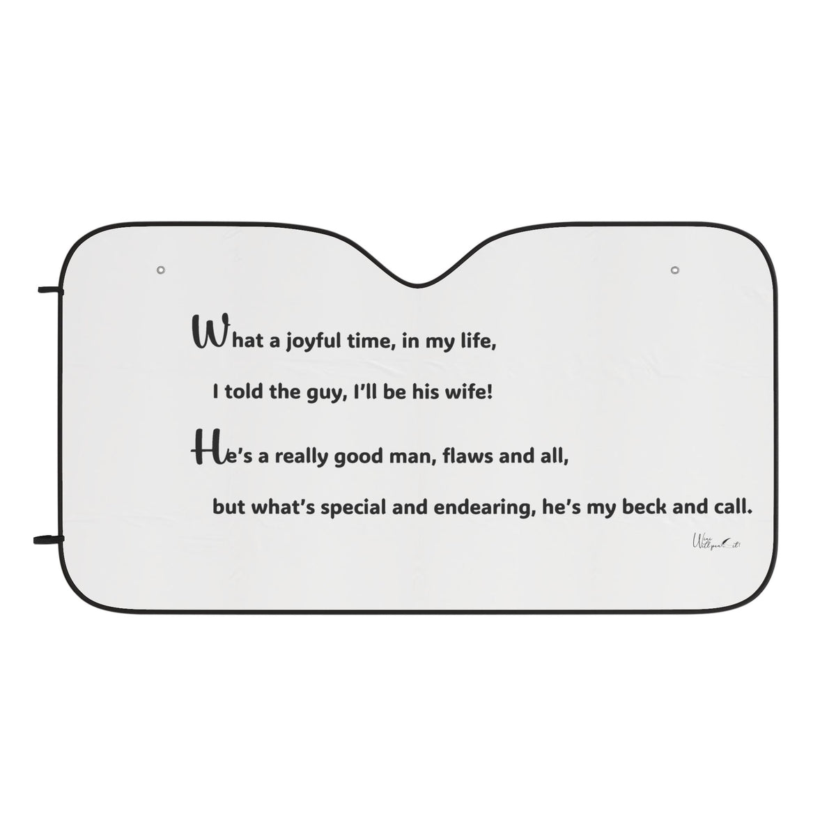 Car Sun Shades